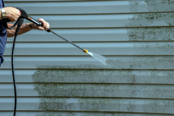 Best Solar Panel Cleaning  in Echelon, NJ